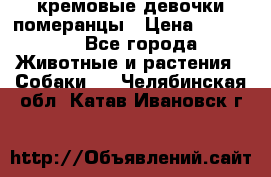 кремовые девочки померанцы › Цена ­ 30 000 - Все города Животные и растения » Собаки   . Челябинская обл.,Катав-Ивановск г.